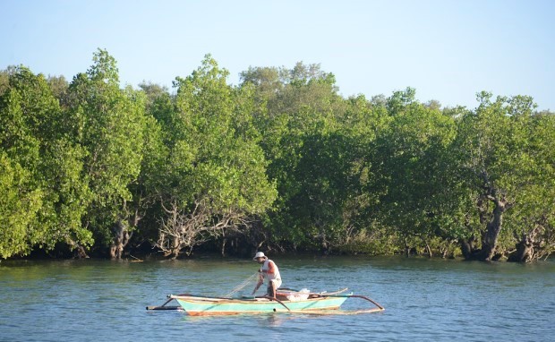 C:\Users\DELL\Desktop\karachi-s-mangroves-threatened-1420351126-5183.jpg
