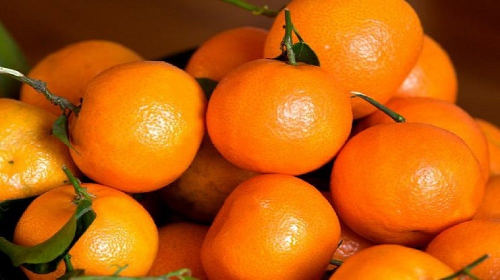 A pile of oranges

Description automatically generated with medium confidence