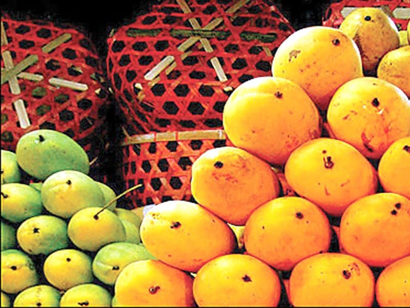 Netherlands: Pakistani mangos go on display at expo