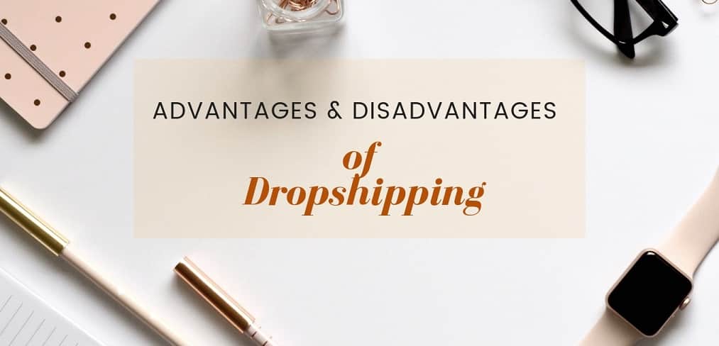 What are the Advantages and Disadvantages of Dropshipping - Chasing Income  : Start your Income Journey