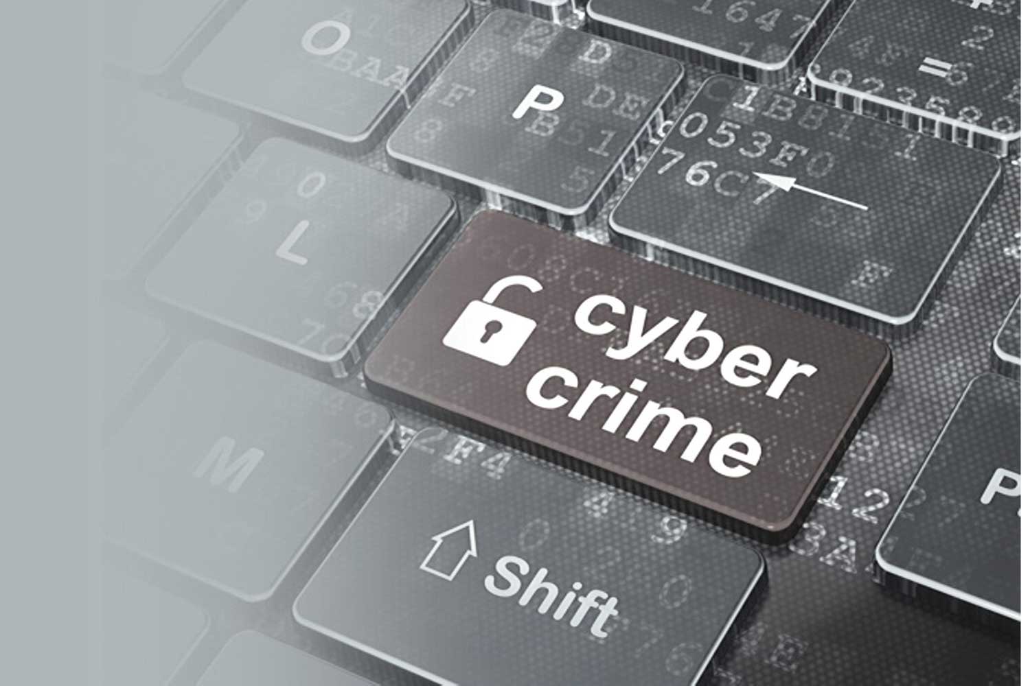 Directory of U.S. State and Local Cybercrime Law Enforcement