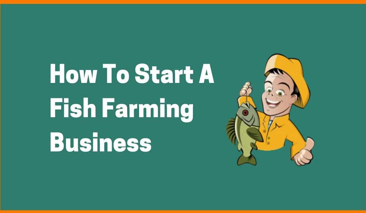 How To Start A Fish Farming Business | StartupTalky