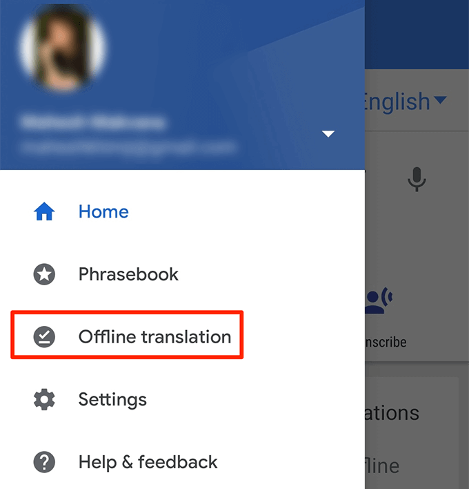 How To Use Google Translate Offline?