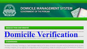 Domicile online verification