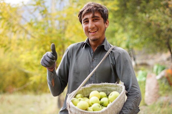 Nestlé helps apple growers in Gilgit Baltistan