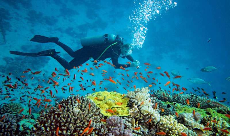 Charna Island, Karachi