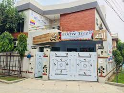 Olive Tree Montessori & Preschool Lahore, Pakistan