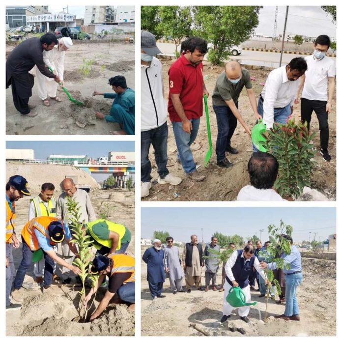 Tree planting project around National Highway-5