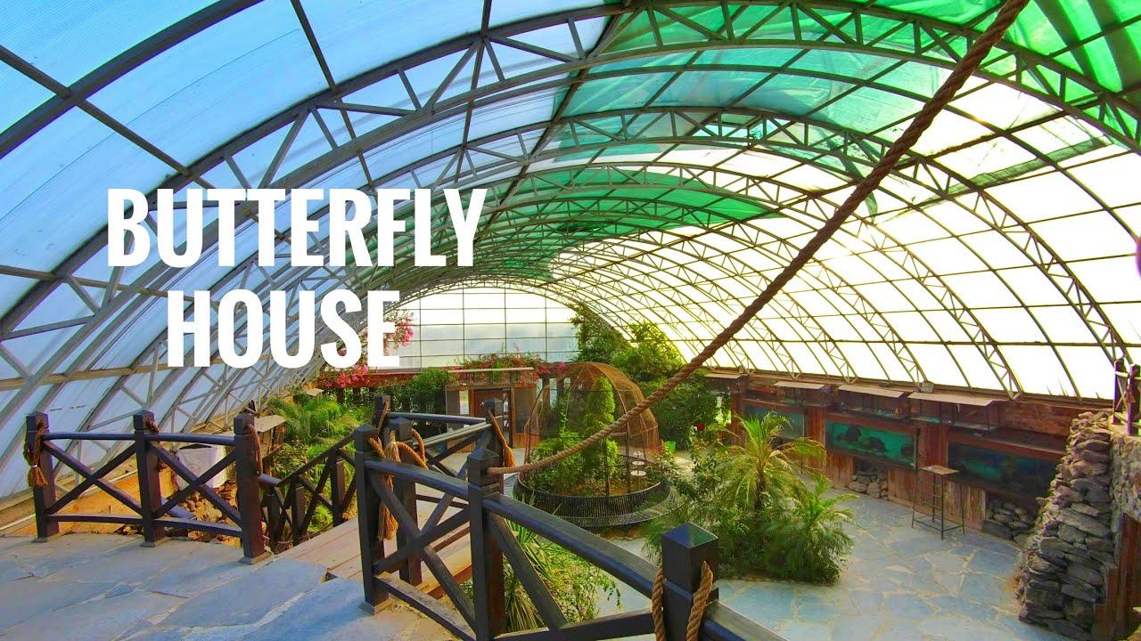 Butterfly house-the most prominent facility of Jallo Park