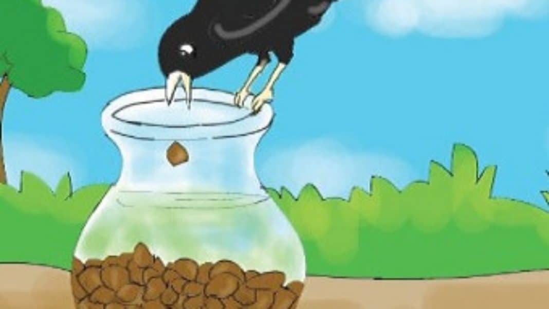 Watch Video Childhood Story True, RealLife 'Thirsty Crow' Puts Pebbles in Bottle to