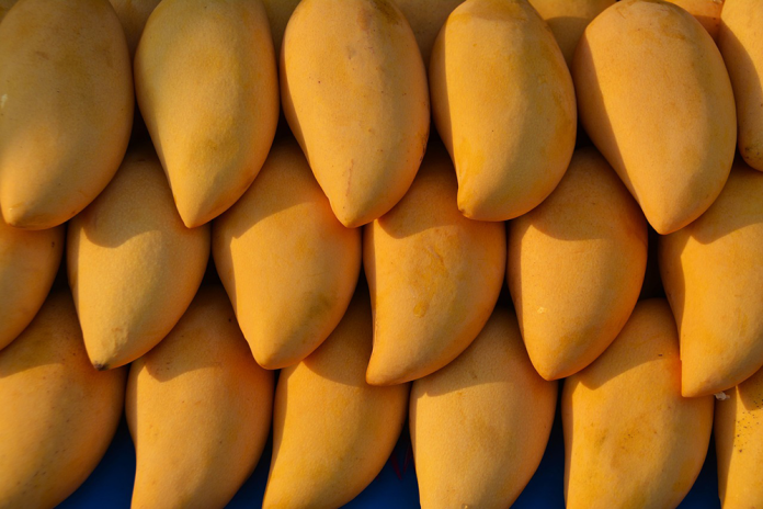 Pakistani Mango Exporters Turn to Advanced Freezing
