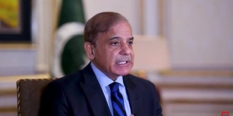 Pakistan Desires Peace with All, Enmity with None, PM Shehbaz Sharif
