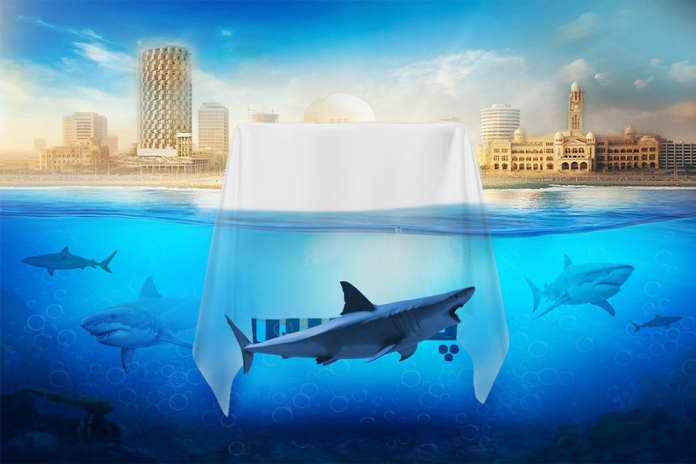 Grenlit Studios Unveils 'Shark Tank Pakistan' Logo, Launches the Social Media Channels