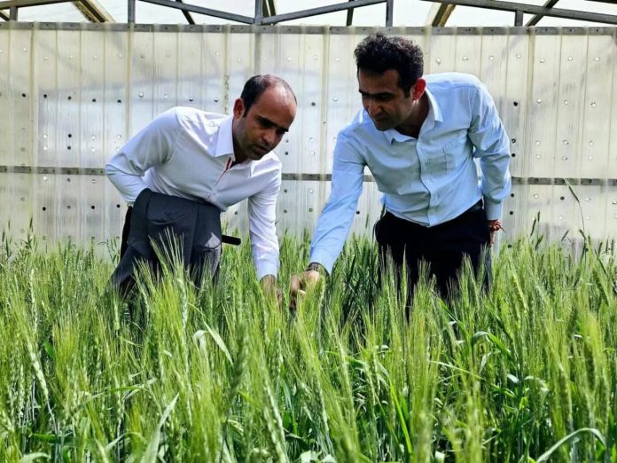 Pakistani Universities Join International Alliance for Agricultural Technology Upgrade