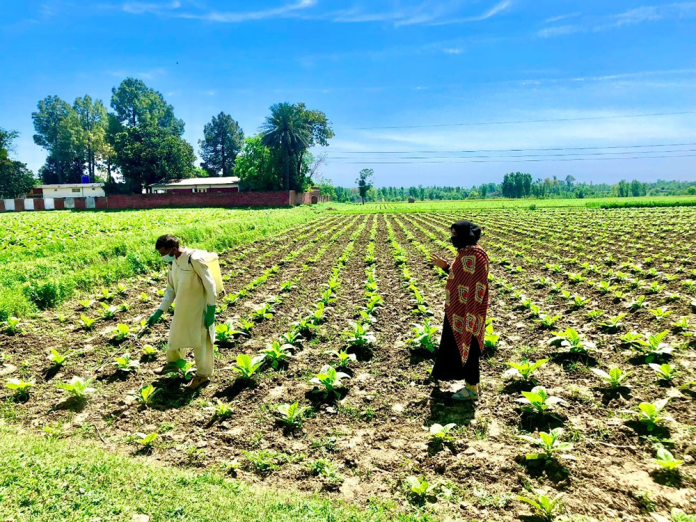 The women breaking cultural barriers in Pakistan