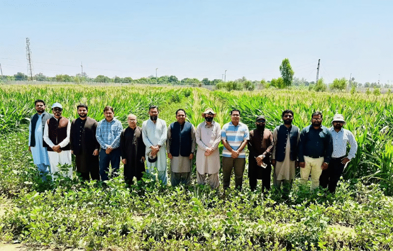 Chinese Intercropping Tech