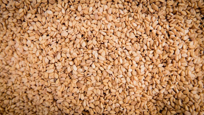 Pakistan’s Sesame Exports to China Soar to Record Highs in Early 2025