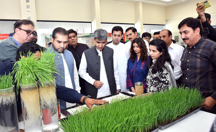 Syngenta Pakistan Revives Hope for Flood-Affected Farmers in Punjab