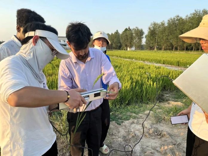 Pakistani, Chinese Researchers Develop Smart Irrigation Approach to Protect Crops from Heat