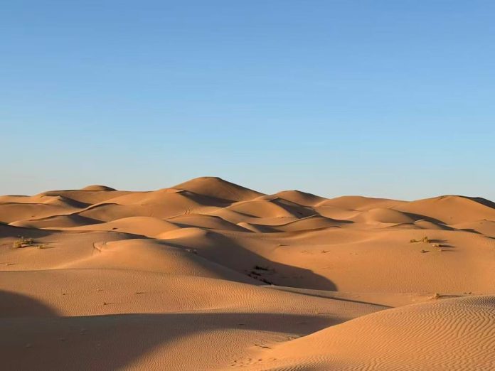 A Desert Nearly Disappeared in 70 Years !