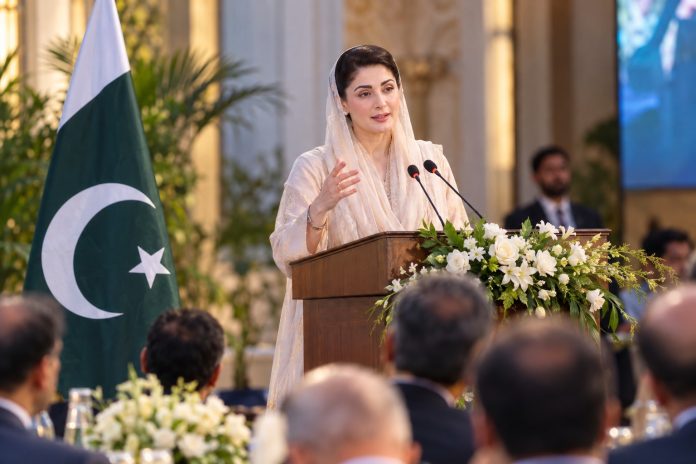 Maryam Nawaz invites businesses to Punjab, says she won’t ask where money comes from